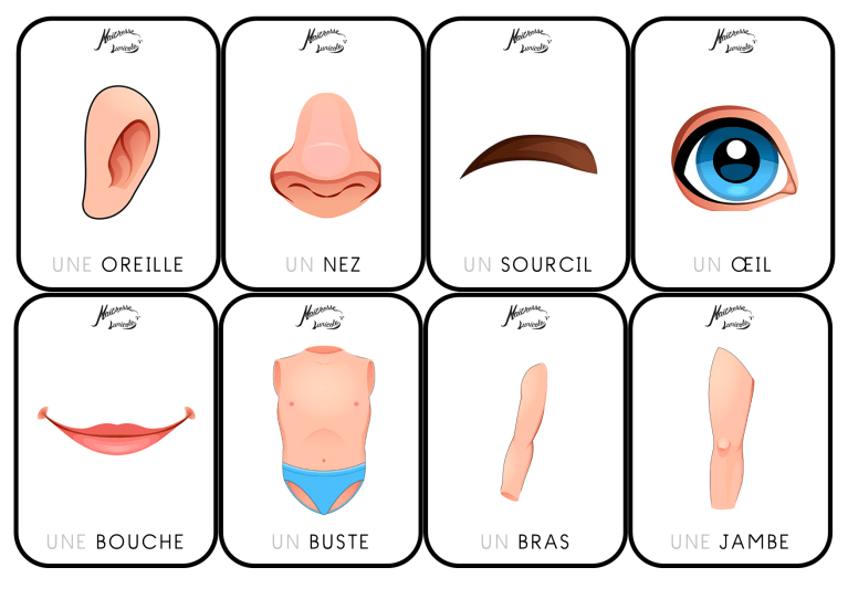 le-sch-ma-corporel-ma-tresse-lunicole